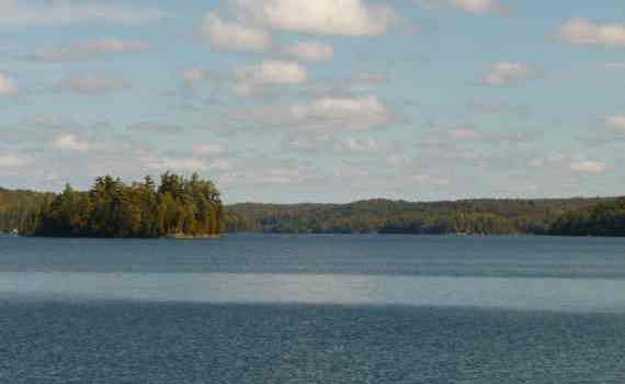 Muskoka Lakes Properties