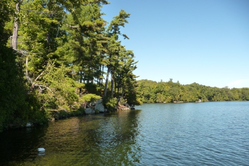 Opinicon Lake